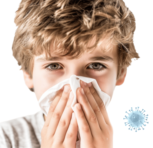 Air Ducts Cleaners plano TX